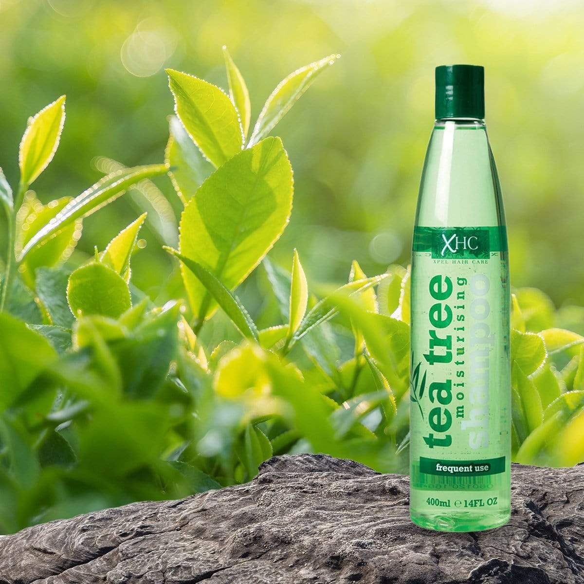 Frissítő Sampon Teafa Olajjal - 400 ml 3 